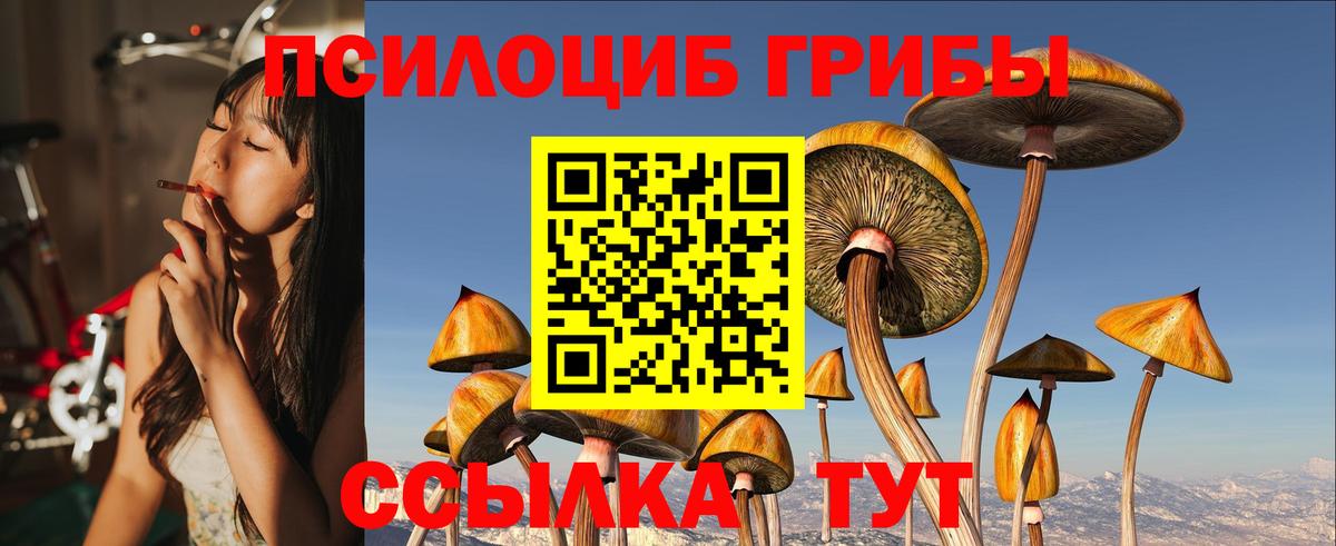 Псилоцибиновые грибы ЛСД  Вход с VPN  Луга  Галлюциногенные грибы Magic Shrooms 